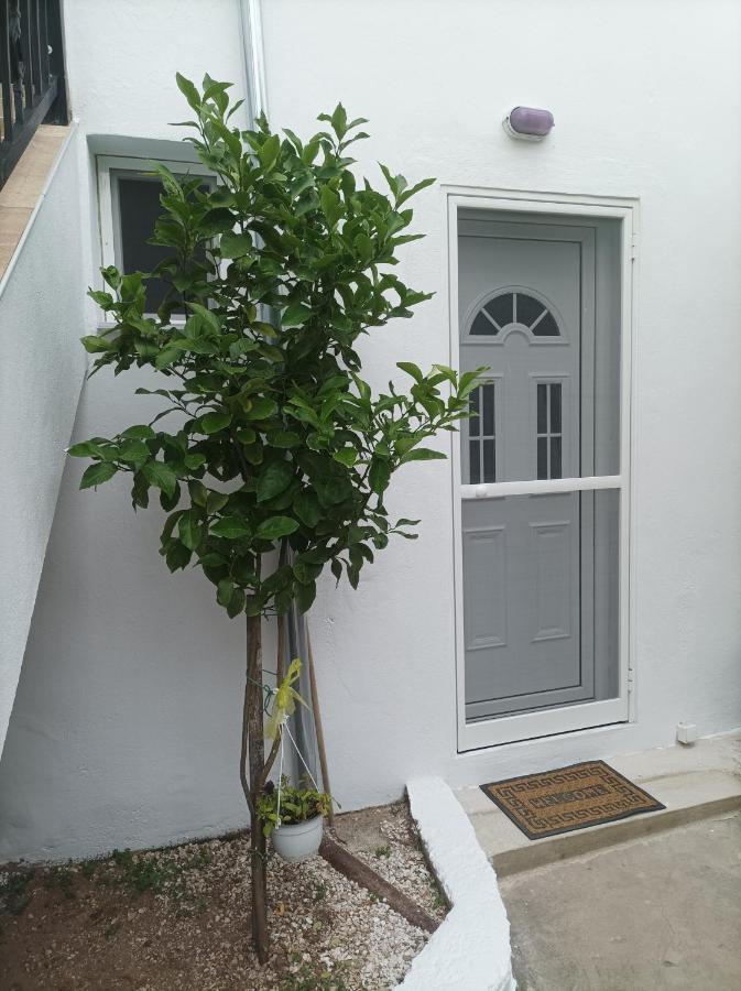 Georgechristi House Villa สกาลา กัลลีราคิส ภายนอก รูปภาพ